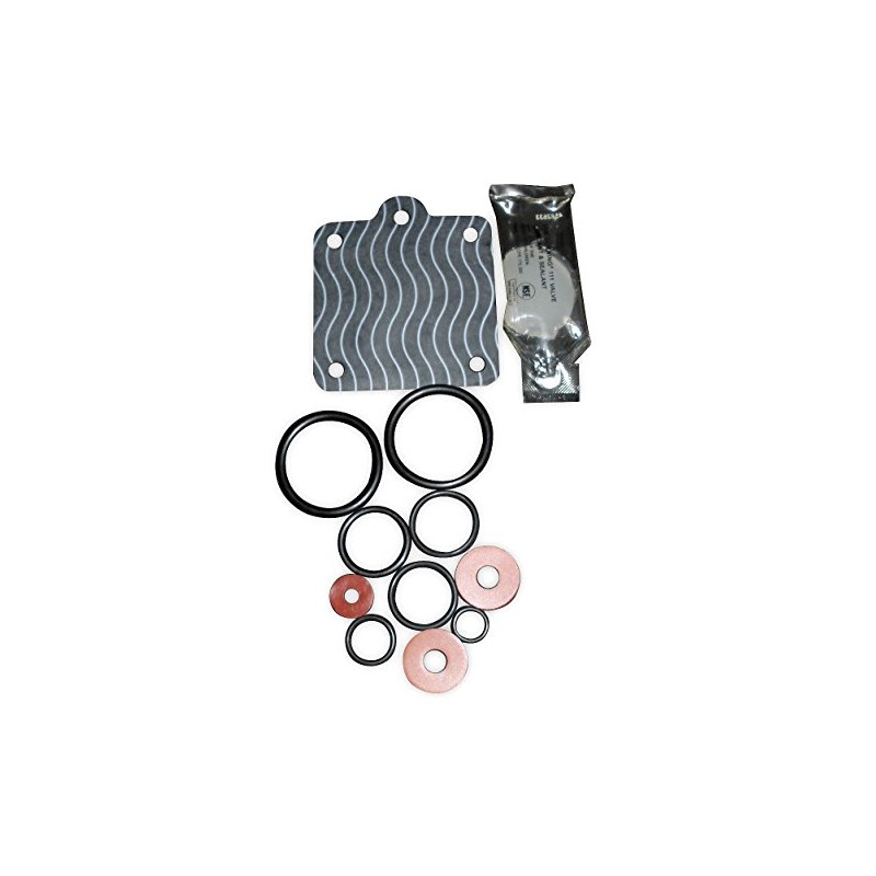 Backflow Preventer Repair Kit