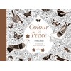 Colour in Peace Postcards: A Reflective Journey