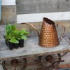 Oakestry Lightweight 12-inch Rustproof Copper Watering Can for Easy Watering