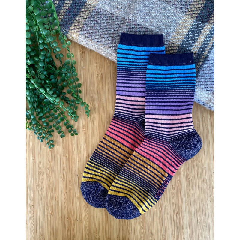 Cub Rocks, 1pk Ladies Cotton Stripe Ankle Socks UK Size