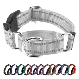 Hikiko Reflective Martingale Dog Collars for Large Dogs with Buckle Nylon Training Walking No Pull Collars, Sliver Gray, L