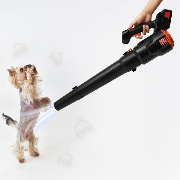 COFECO DC21V Brushed Handheld Leaf Blower, 3 Speed Blower with