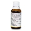 Bee Propolis Tincture 30% - 25ml Natural Bulgarian Liquid