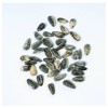 Smackin’ Cinnamon Churro Sunflower Seeds 4 oz / BB: 07/2026