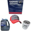 Johnson Evinrude OMC OEM Xps Gear Lube Qt, 0779480-3