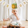 Bliceon Baby 1st Birthday Hat, Wild One Birthday Decorations, 1st