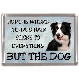 Border Collie Dog Fridge Magnet "Home is Where The Dog Hair Sticks to Everything BUT The Dog"