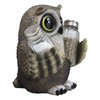 Ebros Gift Whimsical Owlet Baby Owl With Big Round Eyes