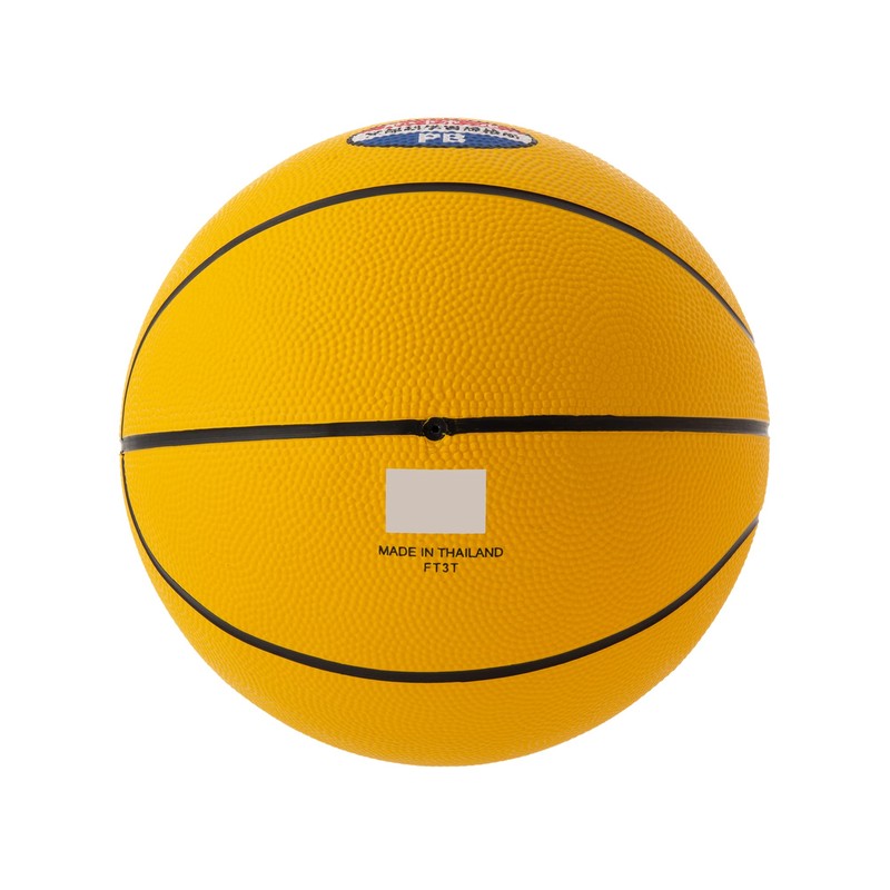 Mikasa Port Ball, Game Ball (For Boys, Girls, Elementary School