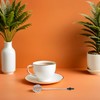 Varillas Batidoras de Repuesto 3 Piezas para Espumador de Café