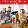 Rock Doctor Flooraid+ Bamboo Floor Cleaner Spray, 2 Pack, Heavy