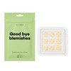 [Eldin] Micro Dart Clear Patch 1 pack 9 patches Skin soothing spot patch Skin trouble trouble care Tea tree leaf oil / [엘딘] 마이크로다트 클리어 패치 1팩 9패치 피부진정 스팟패치 피부고민 트러블케어 티트리잎오일