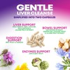 Gentle Liver Cleanse Detox & Repair Formula - Herbal Liver