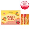 Burt's Bees Juicy Trio Set (Mango + Strawberry + Sweet Mandarin) / 버츠비 쥬시 트리오 세트(망고+스트로베리+스위트만다린)