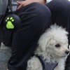 Dog Accessory Ball Holder - Leash Attachment, Lightweight Silicone for