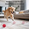 SCHITEC Smart Interactive Dog Toy Ball – Automatic Moving &