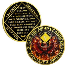 ACGZQY Na Medallion - 5 Years Phoenix Na Sobriety Chip Reborn from Fire NA Medallions Sober Coin Narcotics Anonymous Recovery Addiction Token NA Gifts