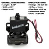 HornBlasters 1/2" 12v Stainless Steel Electric Air Valve