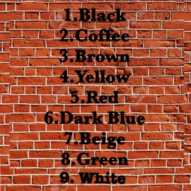 BAD RELIGION COLOR BEANIE ( SCROLL FOR MORE COLORS )