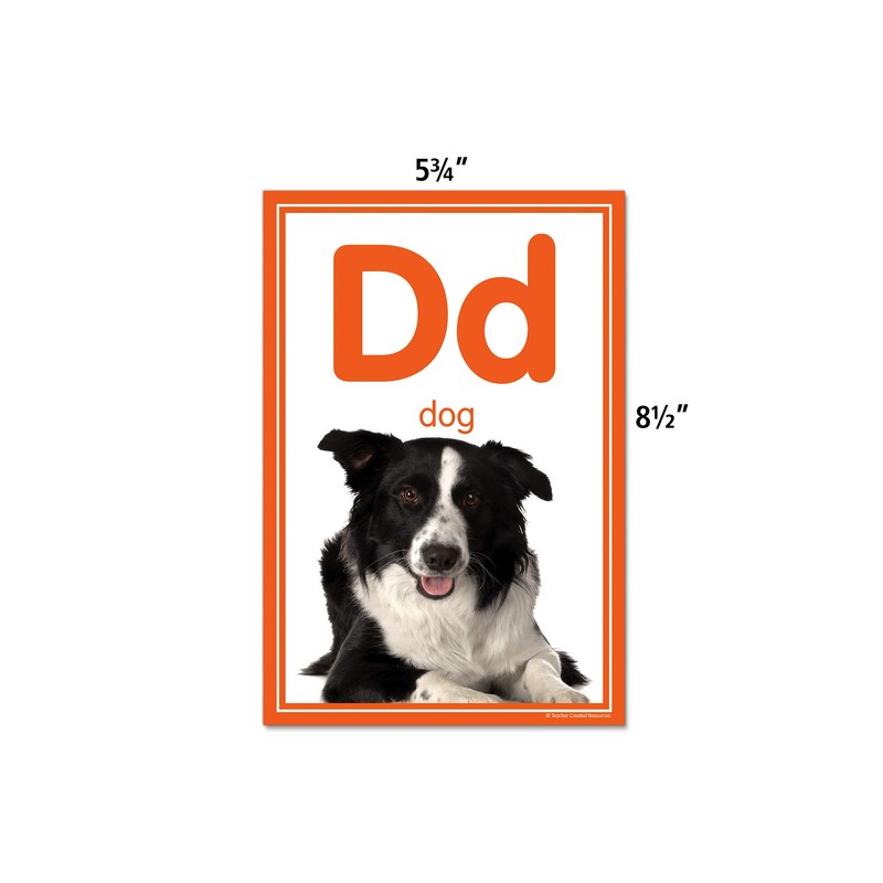 Teacher Created Resources Colorful Photo Alphabet Cards Bulletin Board Set,