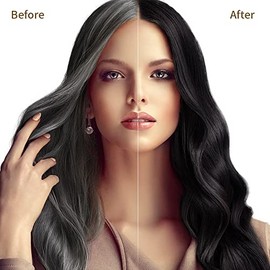 Black Hair Dye Shampoo 3 in 1, Champú Colorante para Teñir el Cabello Negro, Shampoo para Canas con Ingredientes Herbales, 500ml (Negro)