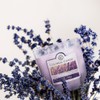 Colonial Candle French Lavender Scented Jar Candle, 2 Wick, 3.5