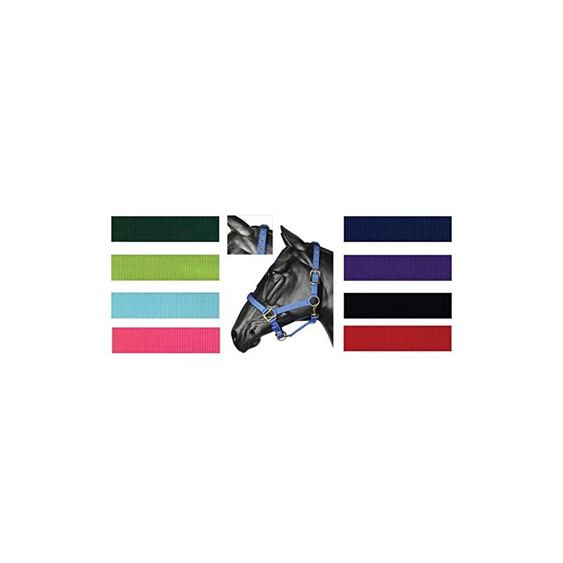 Y-H Hy Deluxe Padded Head Collar - Purple - Pony