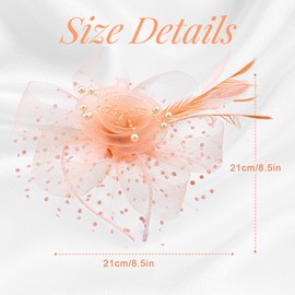 WATAME Fascinators for Women Girl Flower Mesh Feathers Tea Party Hat Kentucky Derby Hats Veil Headband with Hair Clip (Champagne)