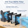 DBFIT AP-M1419 Genuine HEPA Washable Filter Replacement for AP-M1419 Air