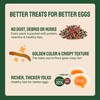 Hatortempt Dried Mealworms - 5 Lb, Non-GMO & Organic -