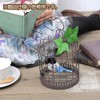 シロハラインコ マスコットストラップ 笛入り