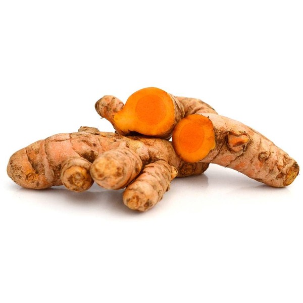 Fresh Turmeric Root for Cooking, Juicing, and Tea by Nine