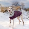Lelepet Warm Dog Coat Waterproof Dog Jacket for Large Dogs