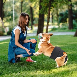 Aomig Dog Nappies for Female Dogs, Black Washable Leak-Proof Heat Pants for Female Dogs, Reusable Sanitary Towels Panties for Female Pets, Highly Absorbent Ncontinence Dog Nappies
