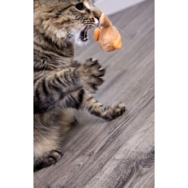 SmartyKat Chickadee Chirp Electronic Sound Cat Toy, Contains Catnip, Battery Powered - Light Brown, One Size