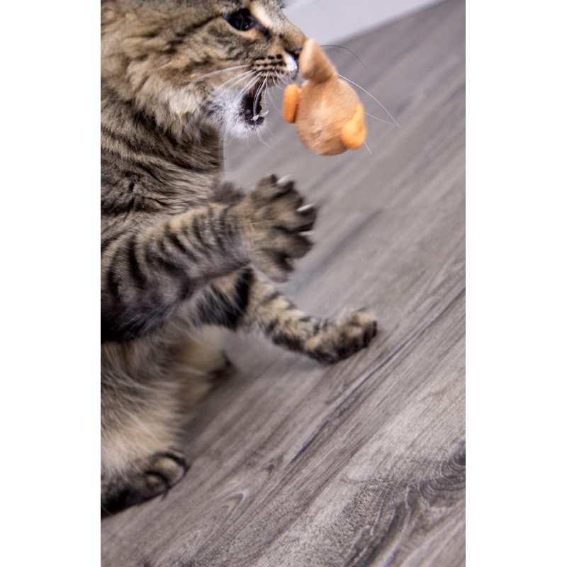 SmartyKat Chickadee Chirp Electronic Sound Cat Toy, Contains Catnip, Battery