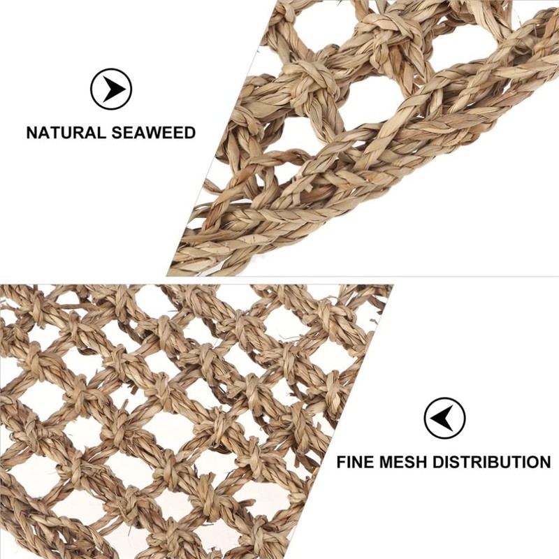 Mipcase 2Pcs Reptile Seagrass Hammock Lizard Hammock Hanging Ladder Lounger
