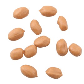 JCBIZ 50pcs Imitation Groundnut Kernels Artificial Fake Groundnut Kernels PVC Faux Peanut Kernel 1.5x1cm