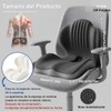 Vervex Cojín Ergonómico 2 en 1 para Espalda y Asiento,