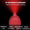 Daemson Mini LED Keychain Flashlight, Portable Pocket Flashlight with Red