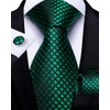 DiBanGu Mens Emerald Green Plaid Tie and Lapel Pin for