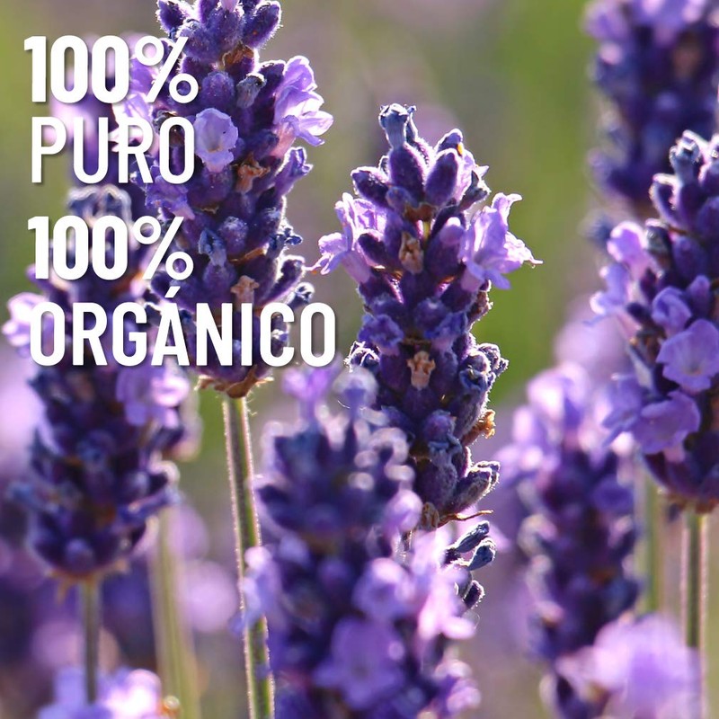 OLEUM VITAE Aceite Esencial de Lavanda. Lavandula Angustifolia. 100% Puro