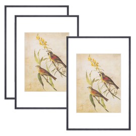 8x12 Picture Frame Set of 3, Black Modern Aluminum Metal Photo Frame with HD Glass, Fits 6x8 with Mat or 8 x 12 without Mat, for Tabletop and Wall Mounting