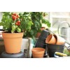 Elho Green Basics Growpot 21 - Growpot - Mild Terra