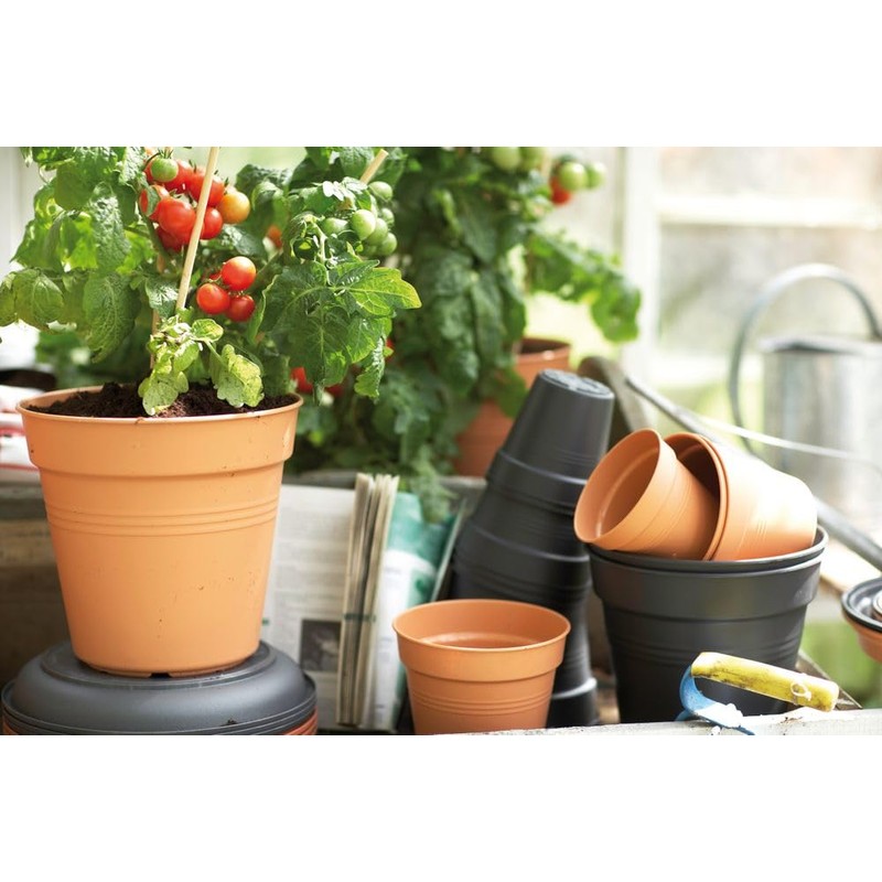 Elho Green Basics Growpot 21 - Growpot - Mild Terra