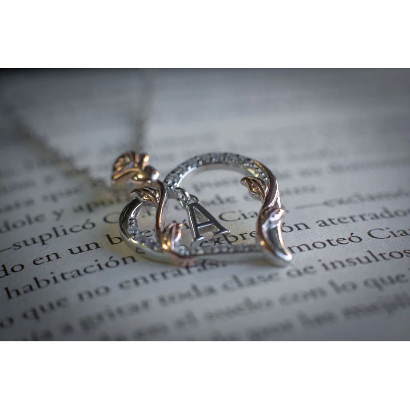 Cadena Dije Inicial Plata Chapado Oro14 Corazón Collar Letra