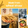 Teivio 48-Piece Kitchen Plastic Wheat Straw Dinnerware Set, Service for