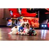 Multipet Sonic Chao - Juguete de Peluche Normal para Perros