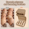 JOINSI 50 Pack Egg Cartons Bulk, 3×4 Style Reusable Empty