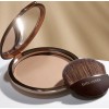 Estée Lauder Estee Lauder Bronze Goddess Powder Bronzer Shade 01